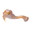 Human Grade Sherlock Model B Pipe