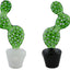 Cactus Pot Glass Pipe
