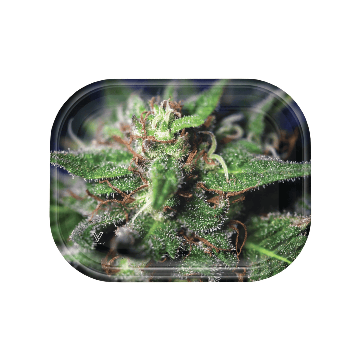 Blue Dream Metal Rollin' Tray
