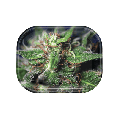 Blue Dream Metal Rollin' Tray